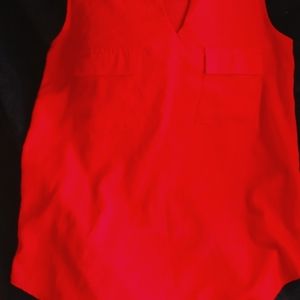 Dresses shirts doggy jacket